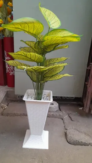 Beautiful Vase Home and Church Decor Plant