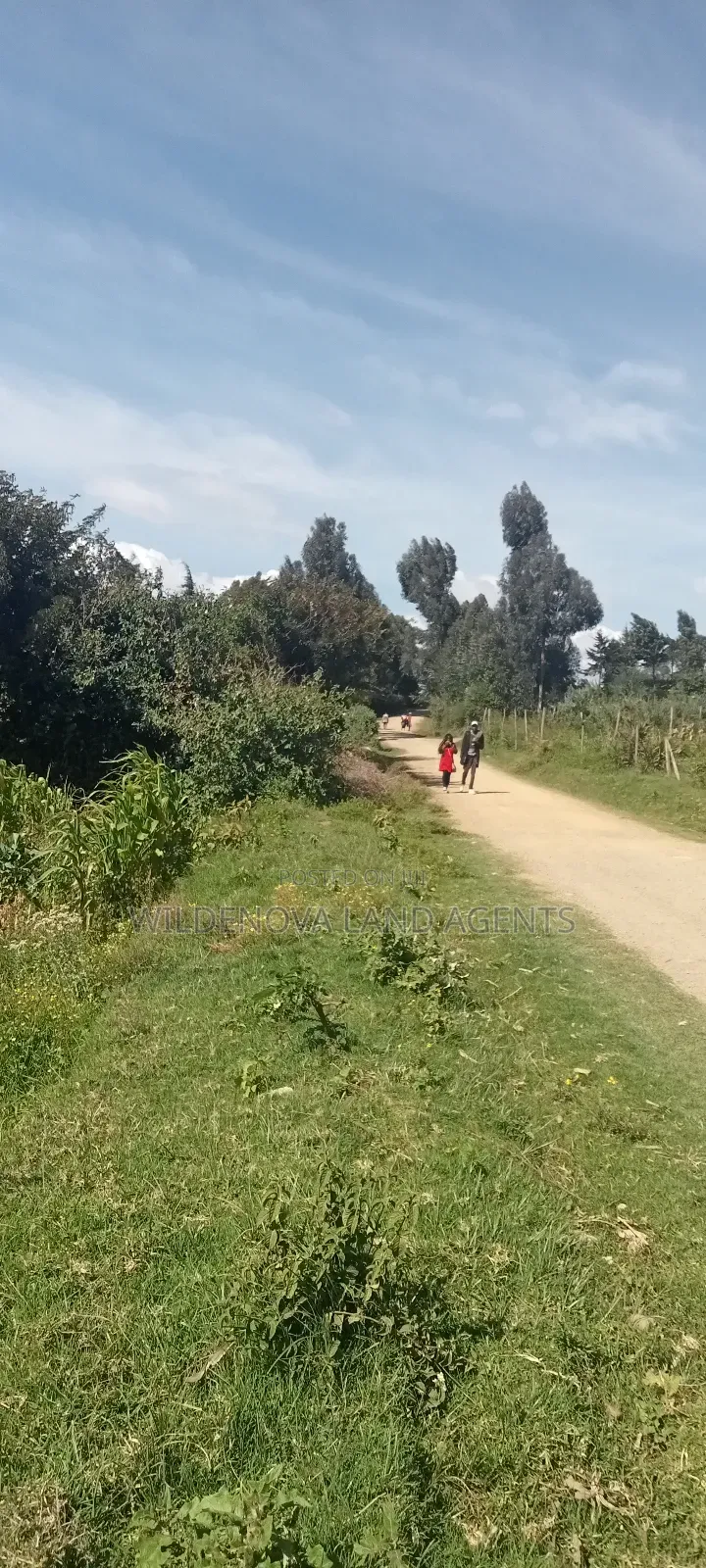 Land on Sale at Kinungi Naivasha