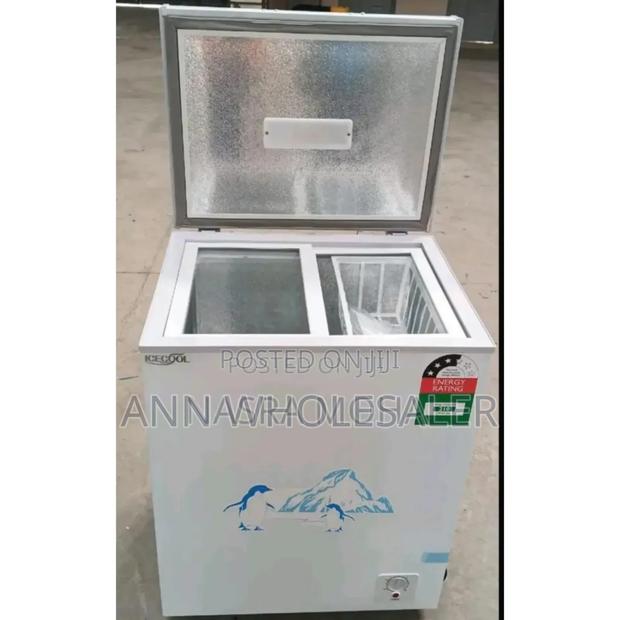 Wonderful Capacity 119litres Ice Cool Semi Commercial Freezr