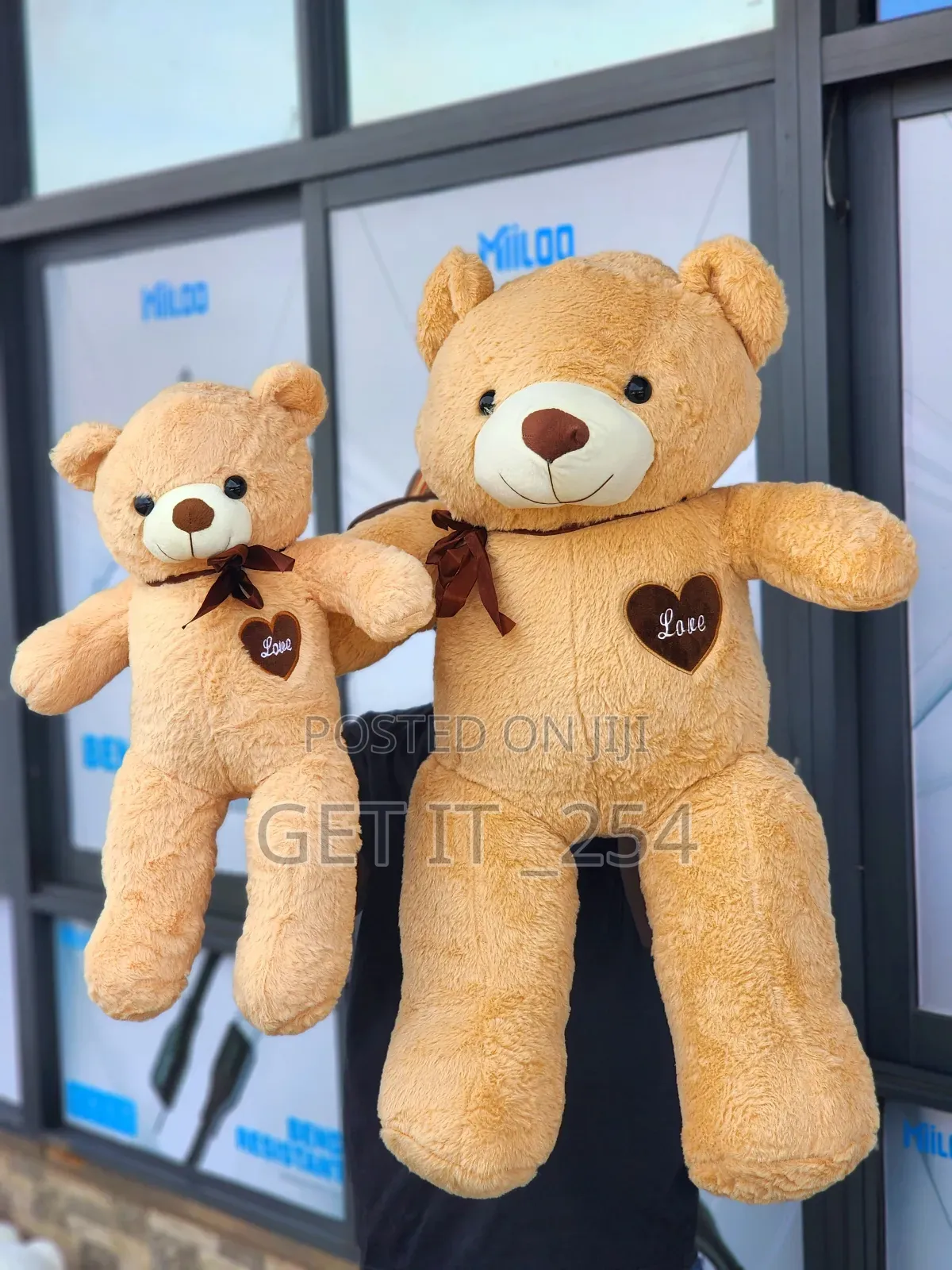 Big Teddy Bear