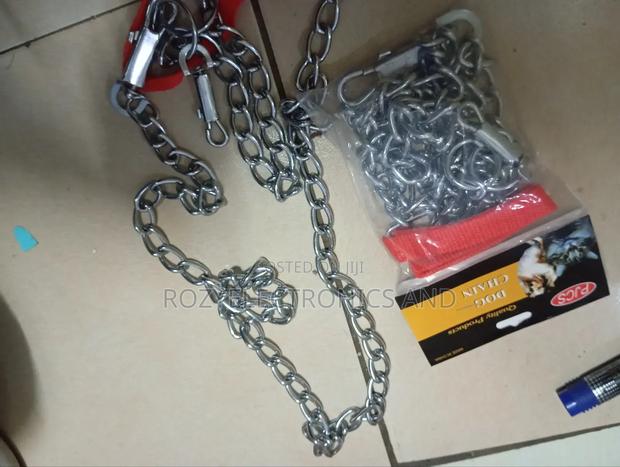 Dog Chain Dog Chain - main view