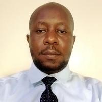 Starvik Enterprises logo