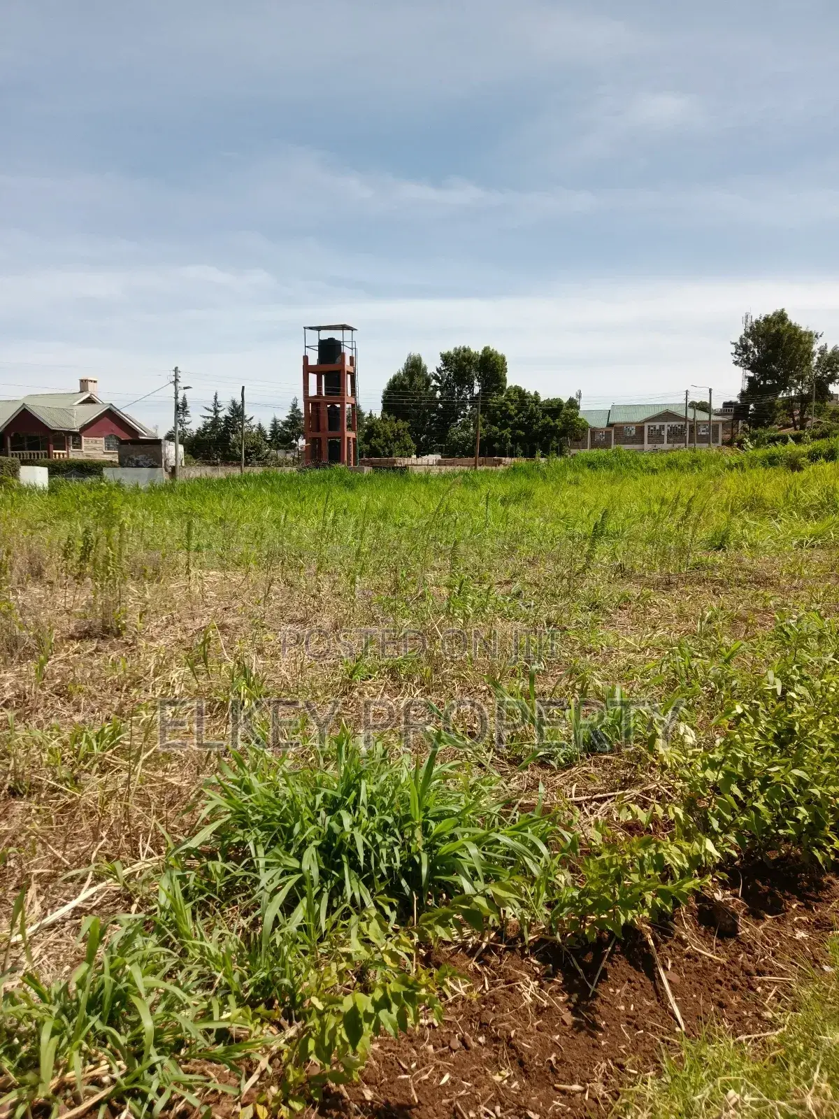 Prime Plot in Zambezi Kikuyu