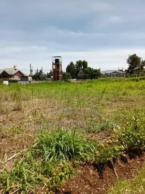 Prime Plot in Zambezi Kikuyu