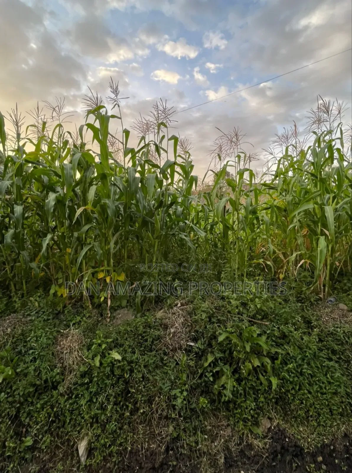 1/8 Plot for Sale Ongata Rongai the Smith for Residential