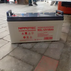Nippotec Solar Battery 12v100ah Dry Cell