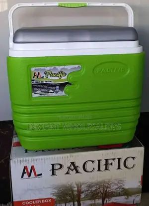 10 Litres Cooler Box