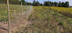 1⁄4 Plots For Sale In Hillside Limo Side Sayare In Eldoret