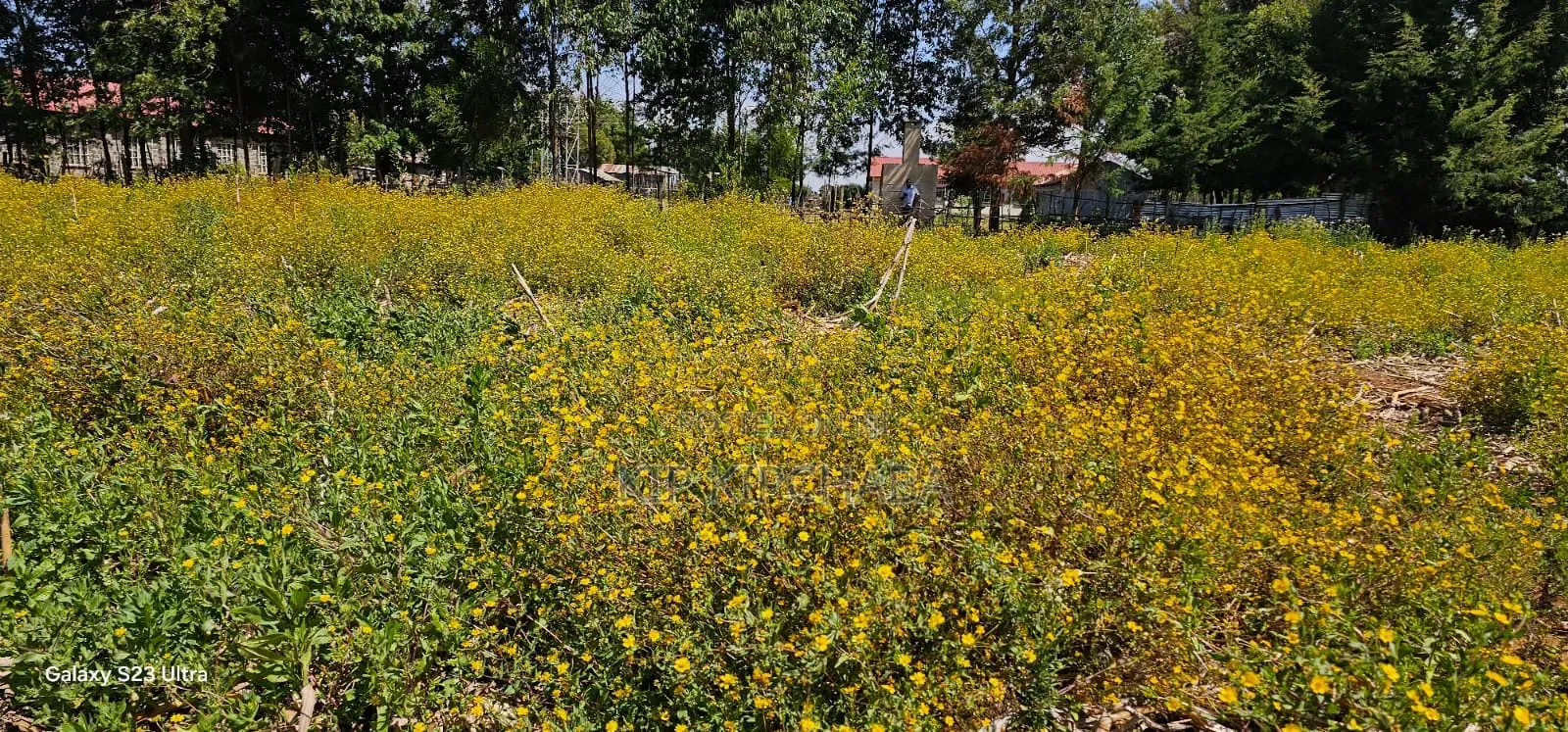 1⁄4 Plots For Sale In Hillside Limo Side Sayare In Eldoret