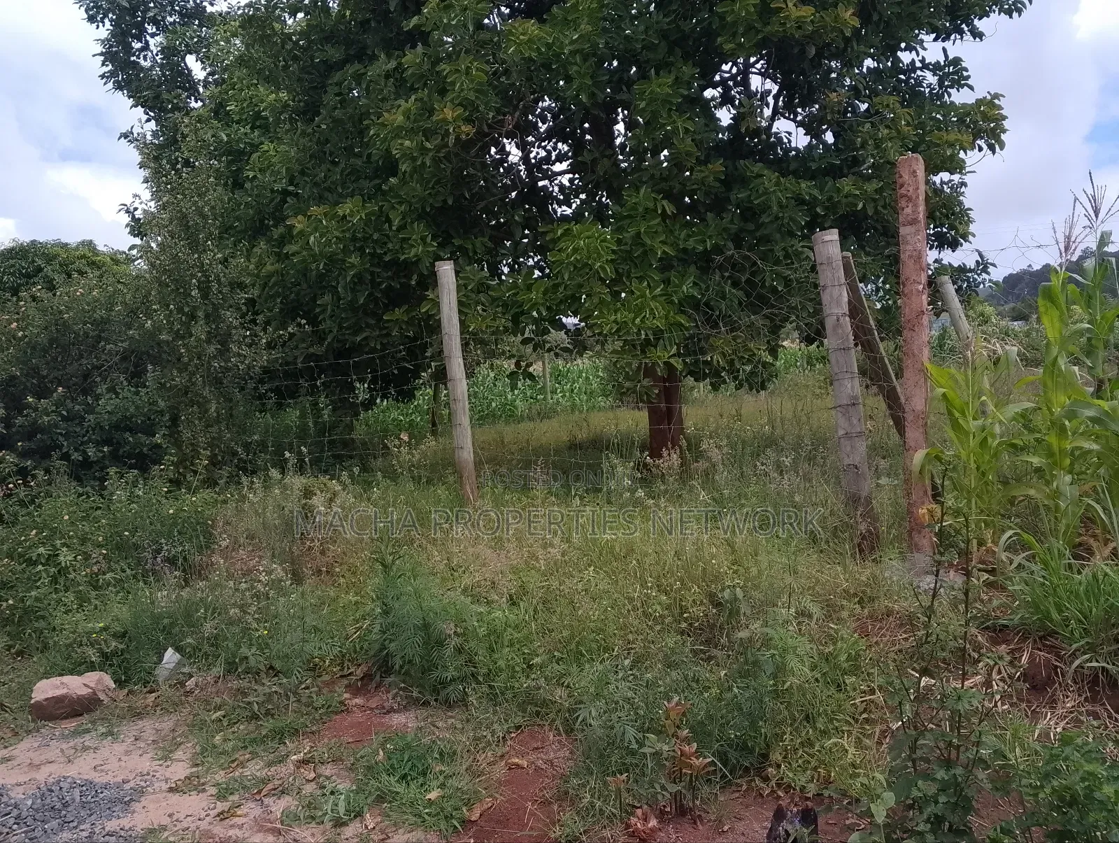 50 by 100ft Plot -Machakos -Mumbuni