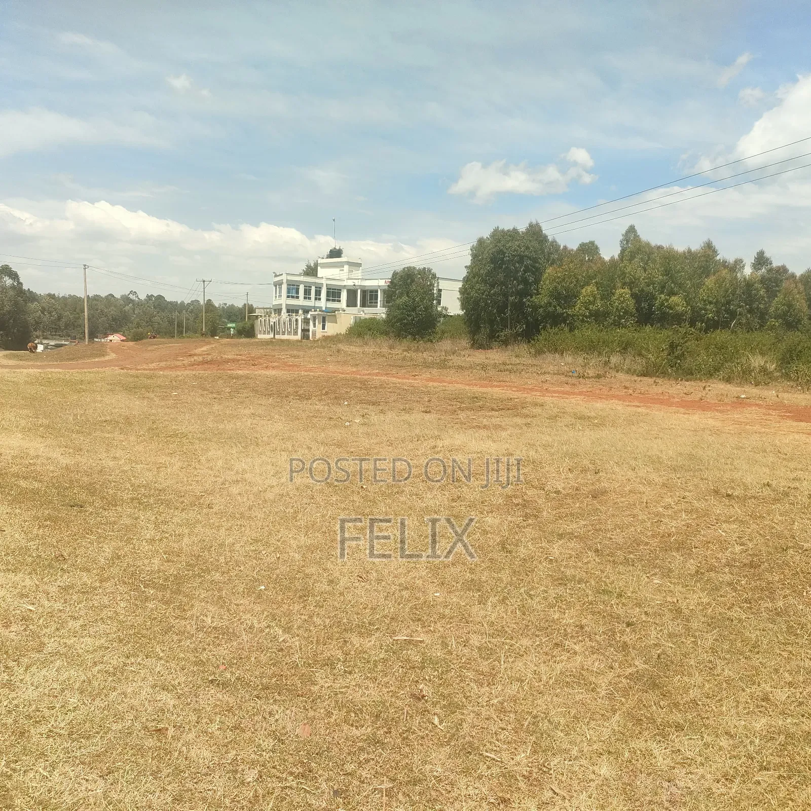 Nyeri/ Marua, Nanyuki Main Tarmac 8 Acres