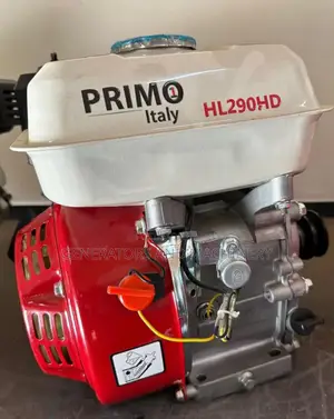 Quality Petrol Engine Italy
