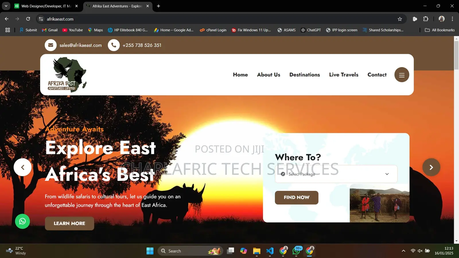 Web Systems/Website Designer Developer, It Manager