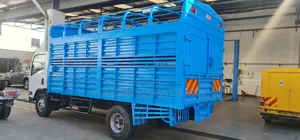 Livestock Body NQR