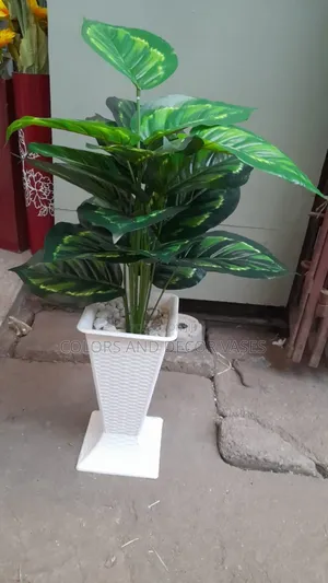 Flower With Square Vase