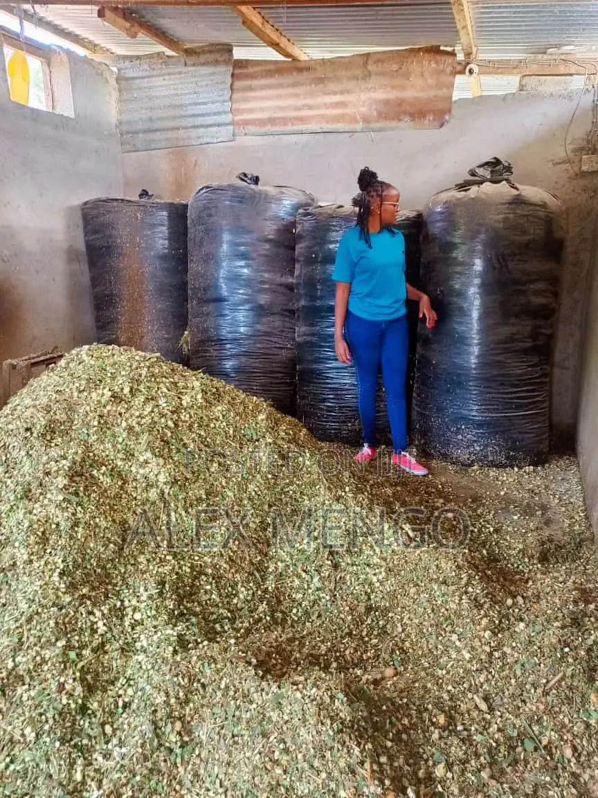 Silage Bag Rolls (40kg, 1000 Gauge) at 12,000