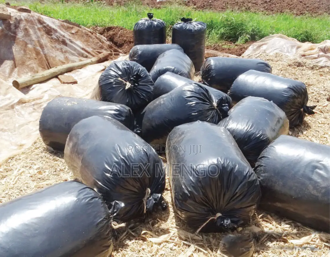 Silage Bag Rolls (40kg, 1000 Gauge) at 12,000