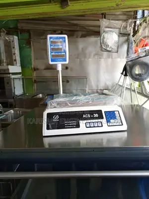 Digital Electronic Scale