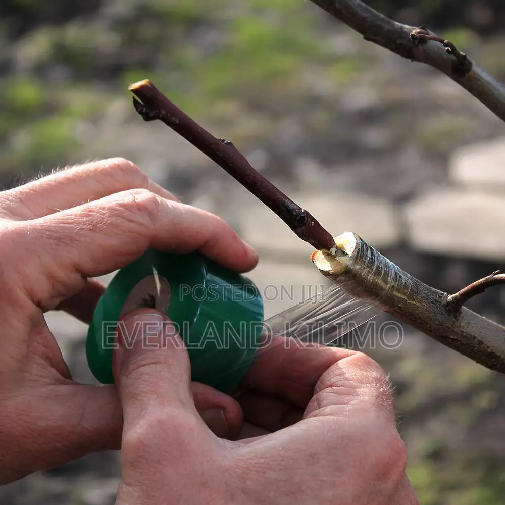 Grafting Film for Floral Trees and Budding
