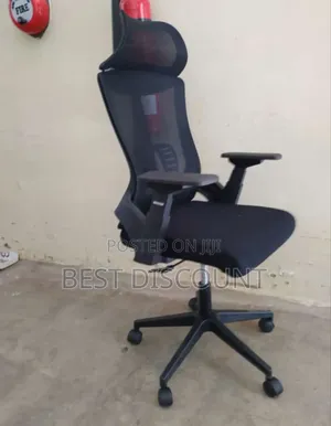 Executive, Ergonomic Office Chair