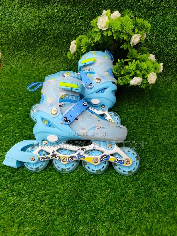 Blue Quality Skate Shoes /Roller Skate - Adjustable Sizes - main view