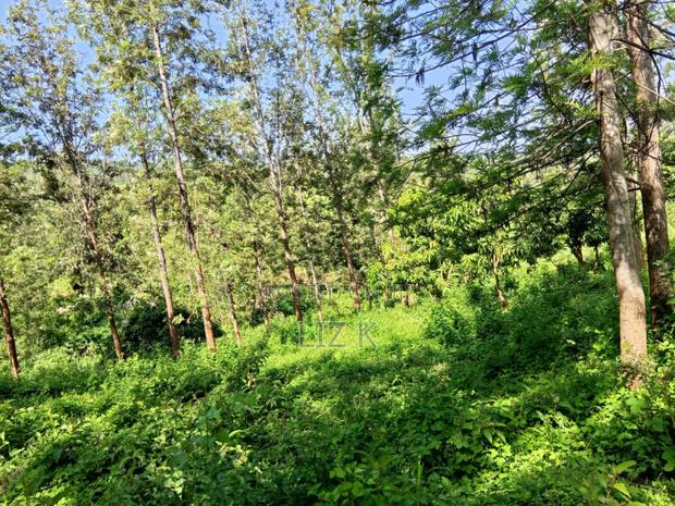 Residential/Agricultural Land in Kamahuha Makuyu