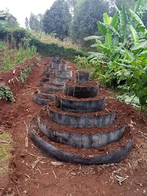 Kitchen Garden Multistorey 5 Layered Garden
