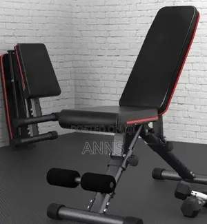 Heavyweight Gym Bench