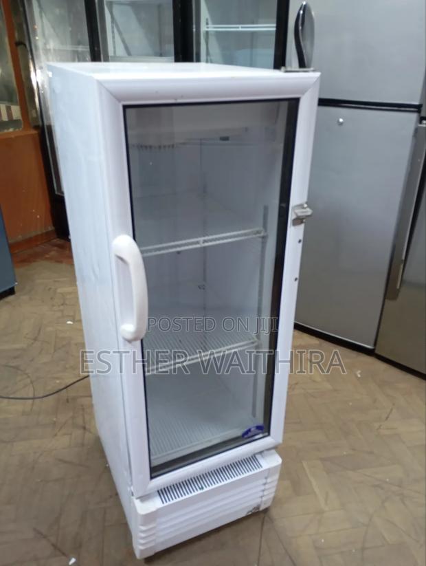 Unique Medium Size Display Fridge - main view