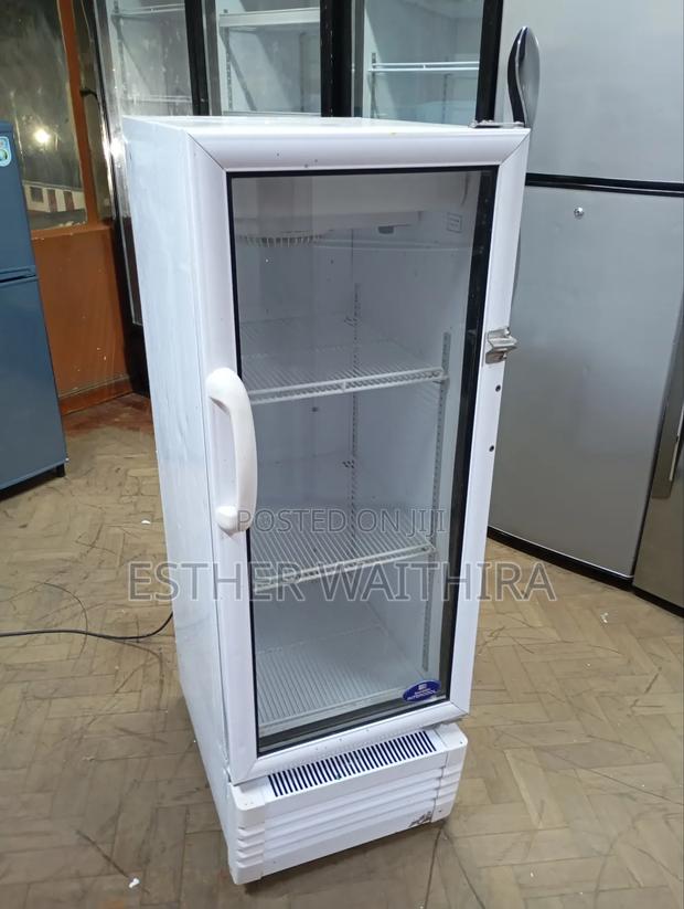 Unique Medium Size Display Fridge - thumbnail 2