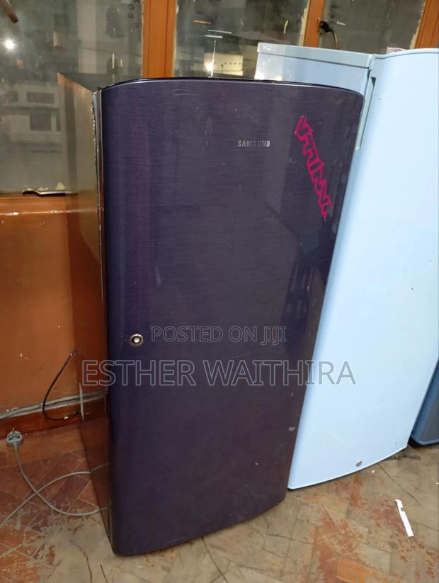 Premier Samsung Fridge