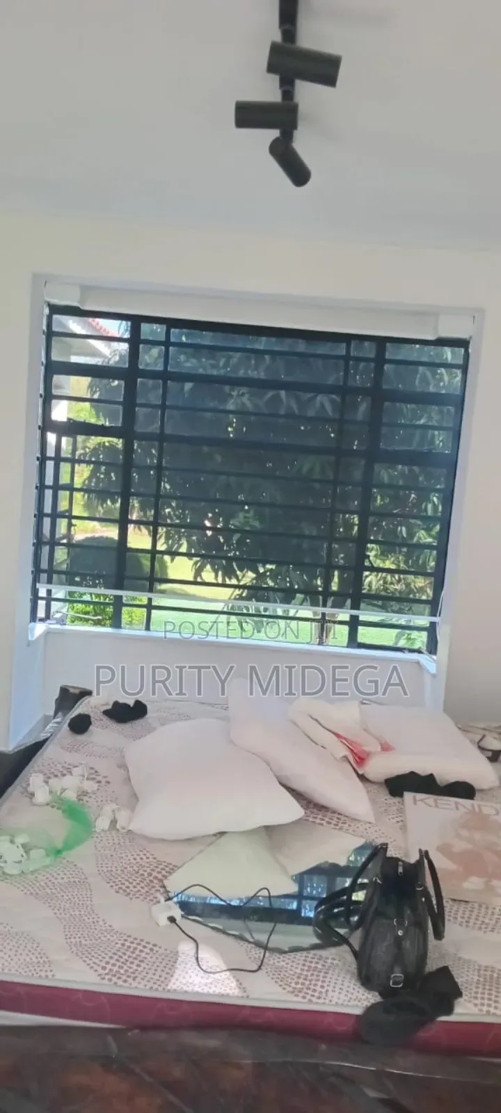 Sunscreen Horizontal Blinds