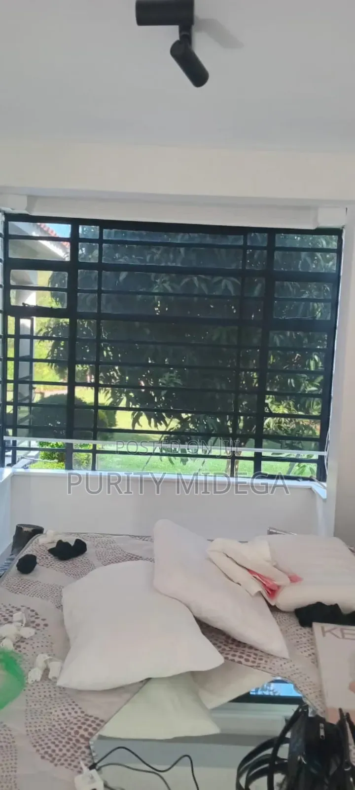 Sunscreen Horizontal Blinds