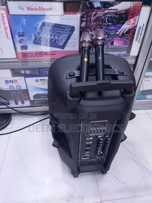 Portable Speaker 15