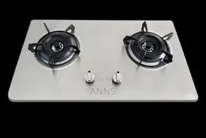 Amaze Staineless Steel Inbuilt Double Burner