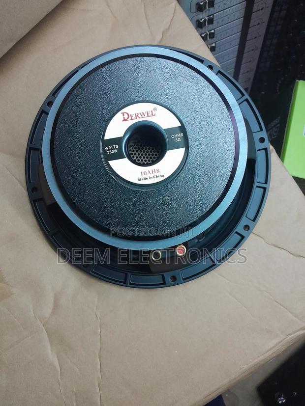 Speaker 10"