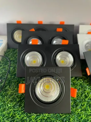 Square Narrow Side Double Head Spot Light Embedded Downlight