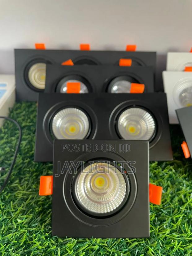 Square Narrow Side Double Head Spot Light Embedded Downlight