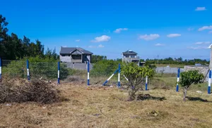 A State Of The Art Plots In Kamuluac