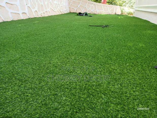 Vibrant Outdoor-Look Carpet - thumbnail 3