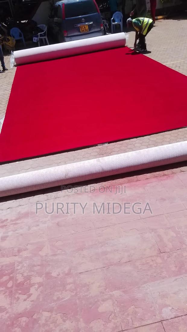 Luxurious Delta Wall to Wall Carpets - main view