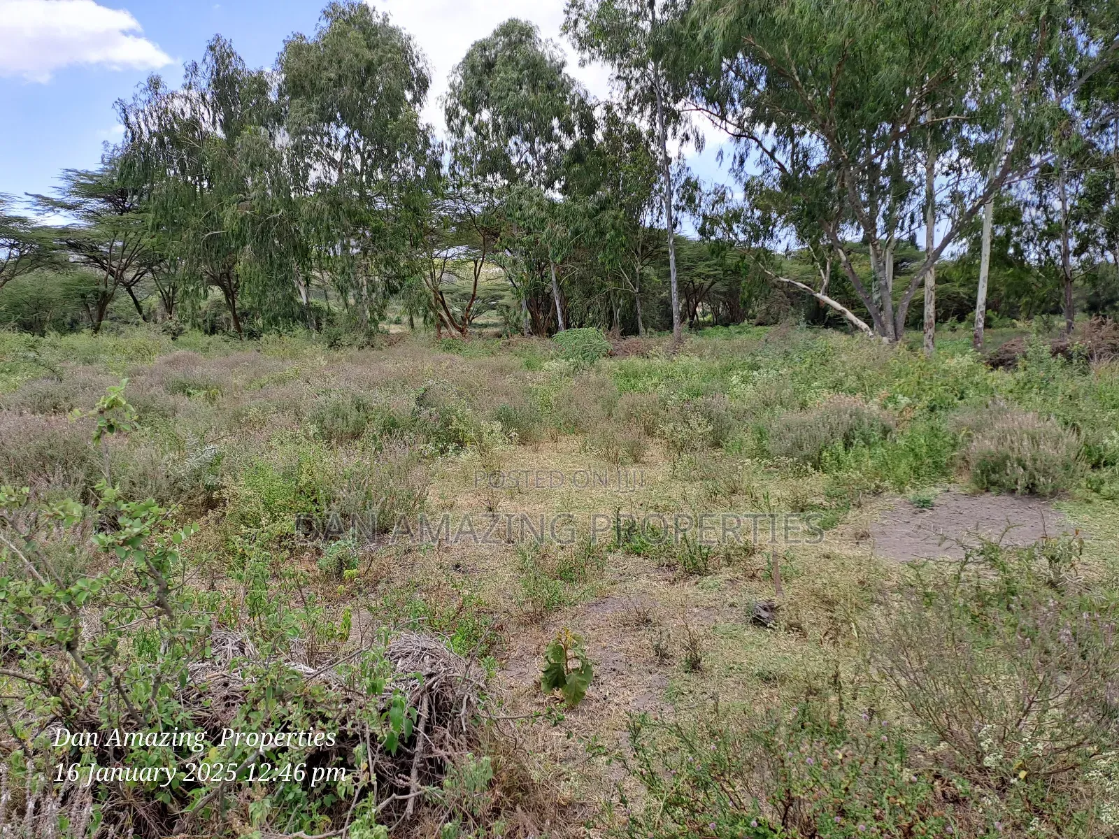 6 Acres Along Isinya Rd for Sale 15km FRM Kiserian Town