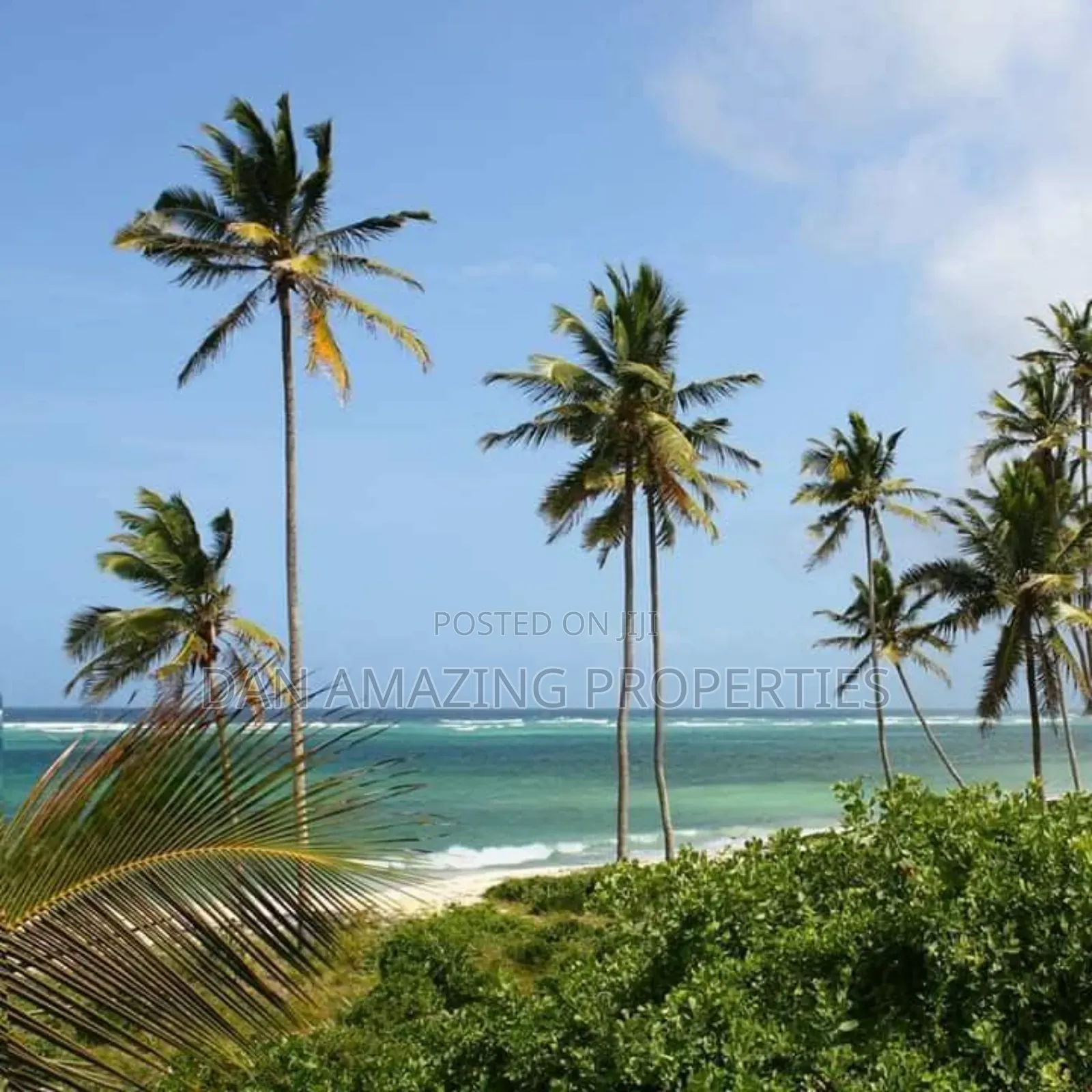 Studio BNB to Let in Diani Beach Front for Short/ Long Stay