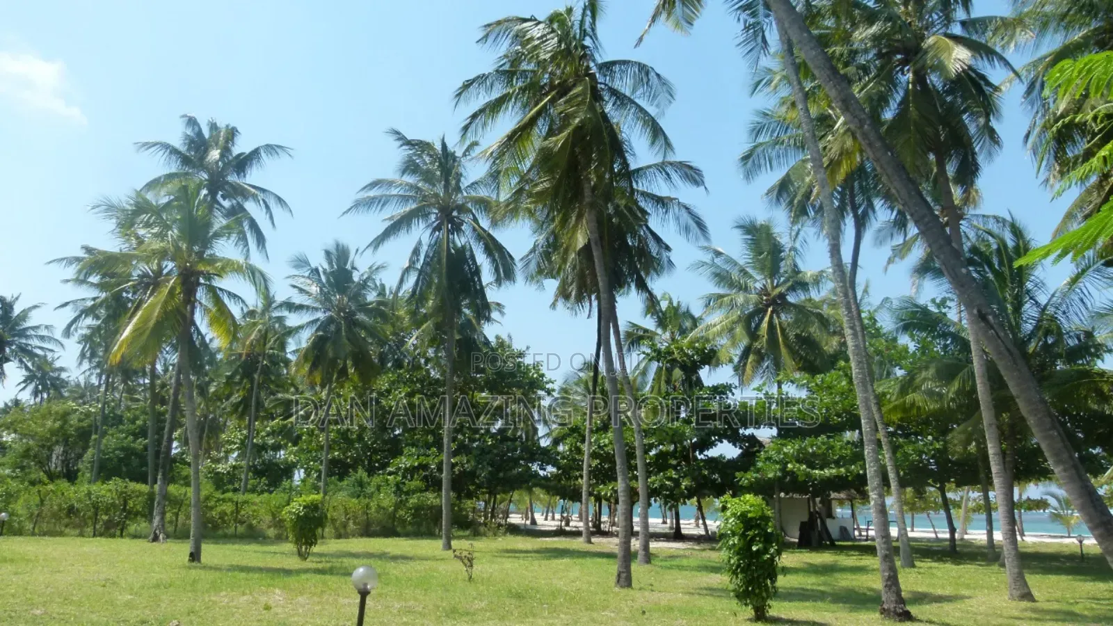 Studio BNB to Let in Diani Beach Front for Short/ Long Stay