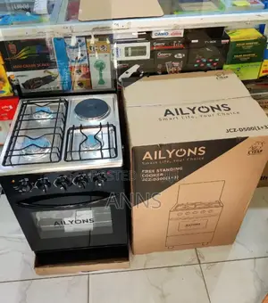 Standing Cooker 3+1 60 by 60