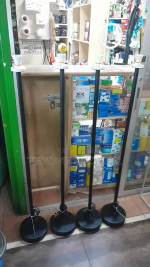 Metallic Floor Stand Lights