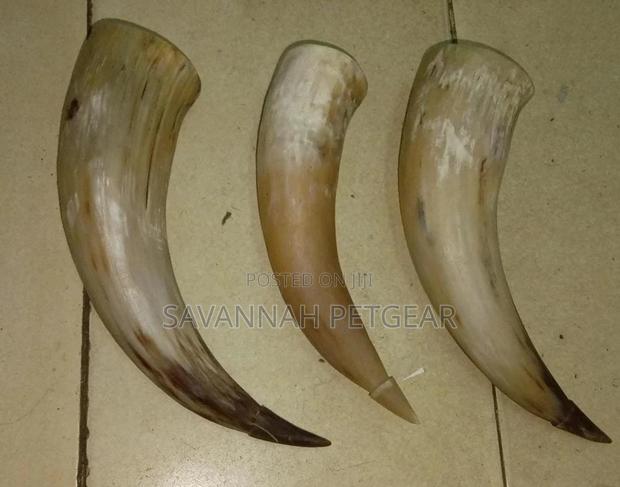 Authentic Ceremonial Horn Wine Glass - Large Size
