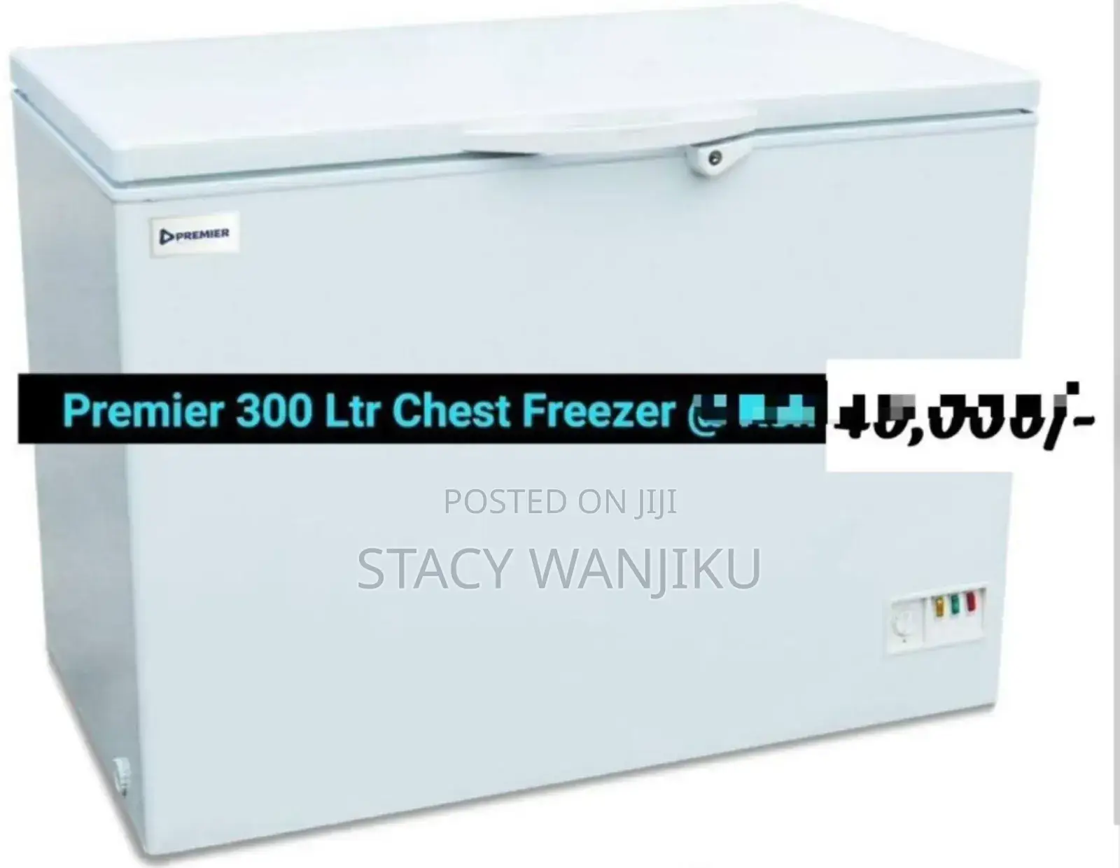 300l Deep Freezer Machine / Chest Freezer Machine Premier