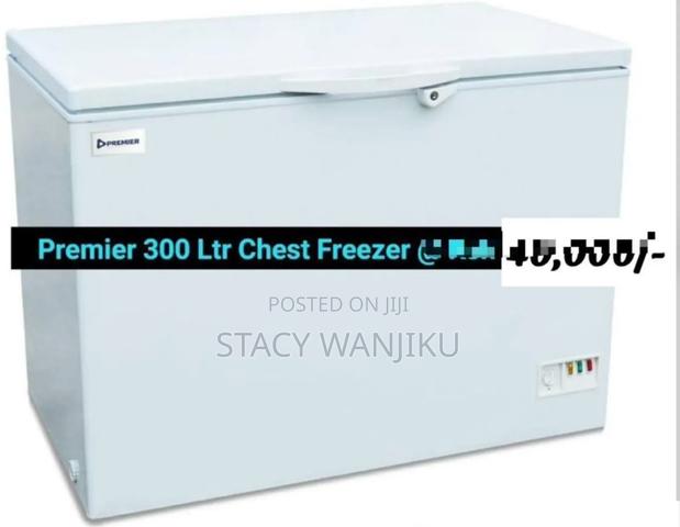 300l Deep Freezer Machine / Chest Freezer Machine Premier