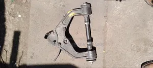 Upper Arms Canter, Fuso,Elfu, Rosa.